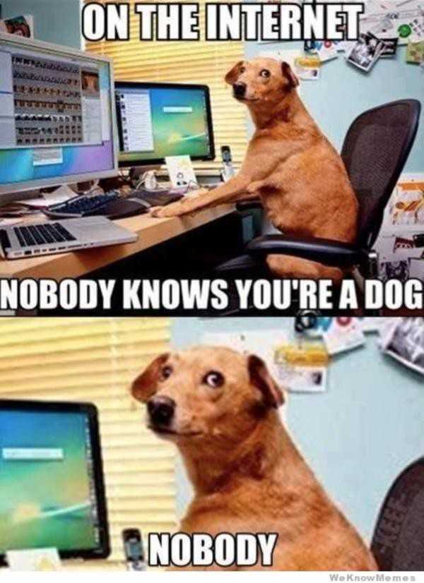 On the Internet, no one knows you're a dog