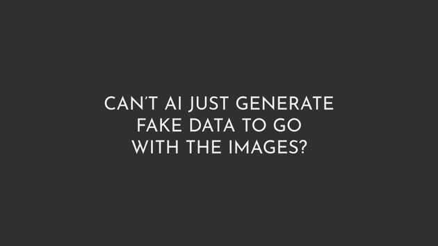 AI Generated Data